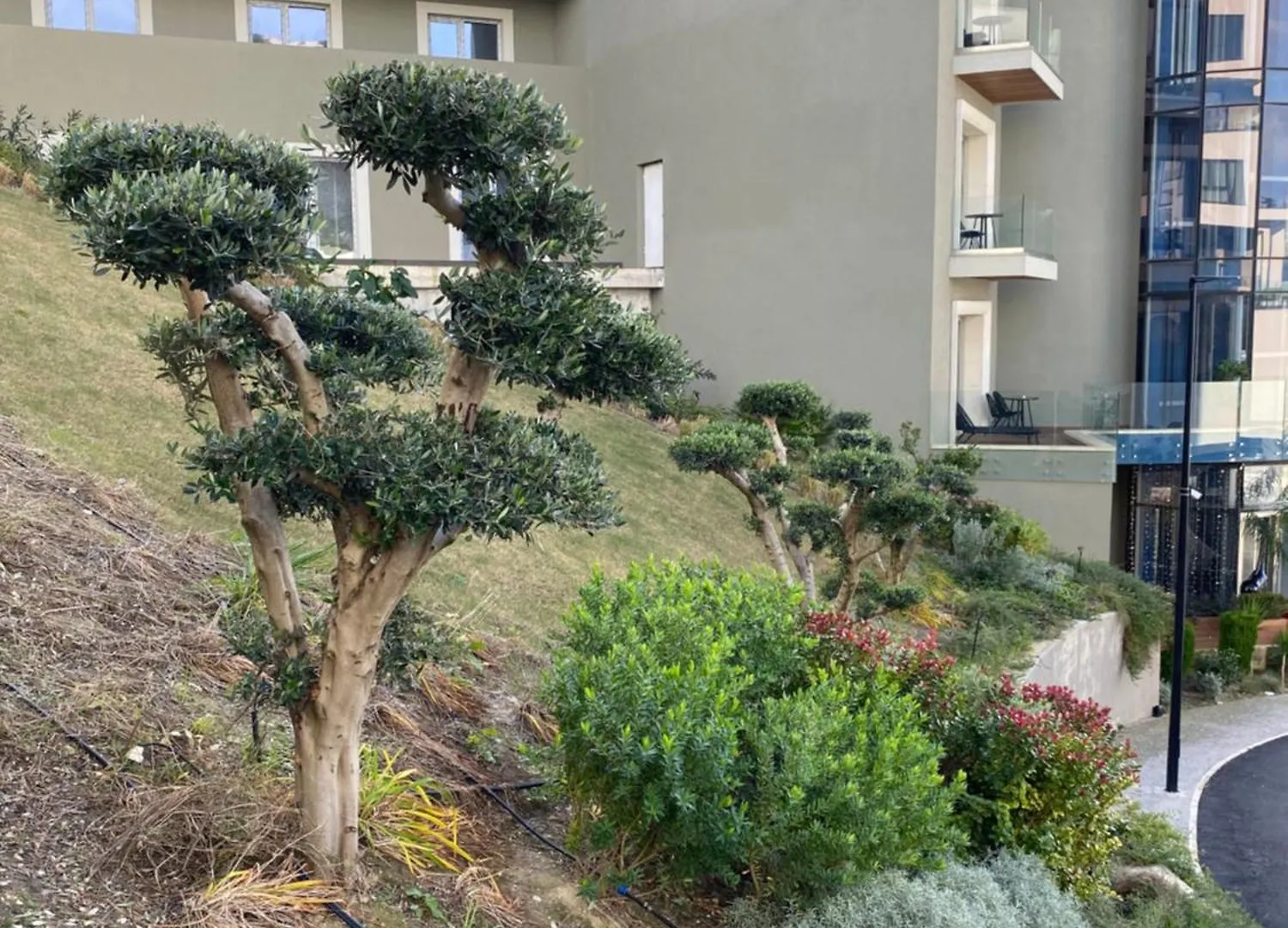 Kam Apartments Vlorë